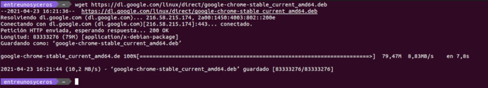 download chrome from terminal